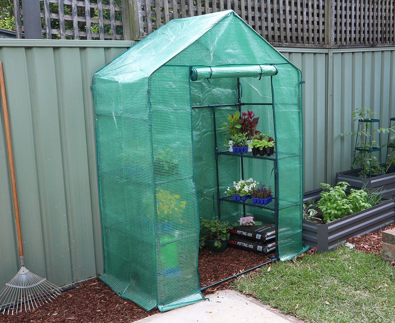 Green House W/ Shelves Greenhouse Walk In Hot Shade House Seedlings Shed Storage - Homegrown - StoresHomegrown - StoresGLGH2